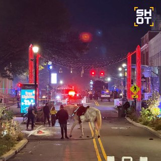 Иллюстрация 3