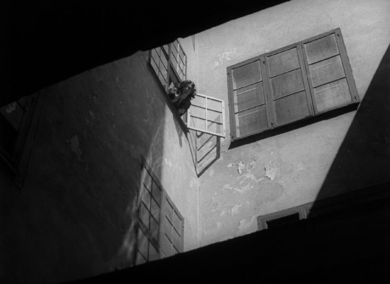 Иллюстрация 2