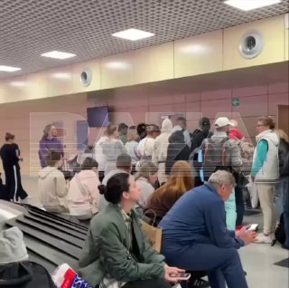 В Домодедово пассажиры остались без багажа