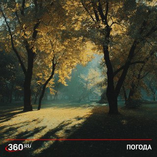 В европейской части России ожидается аномально теплая погода на выходных