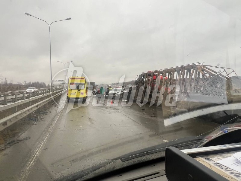 Иллюстрация 4