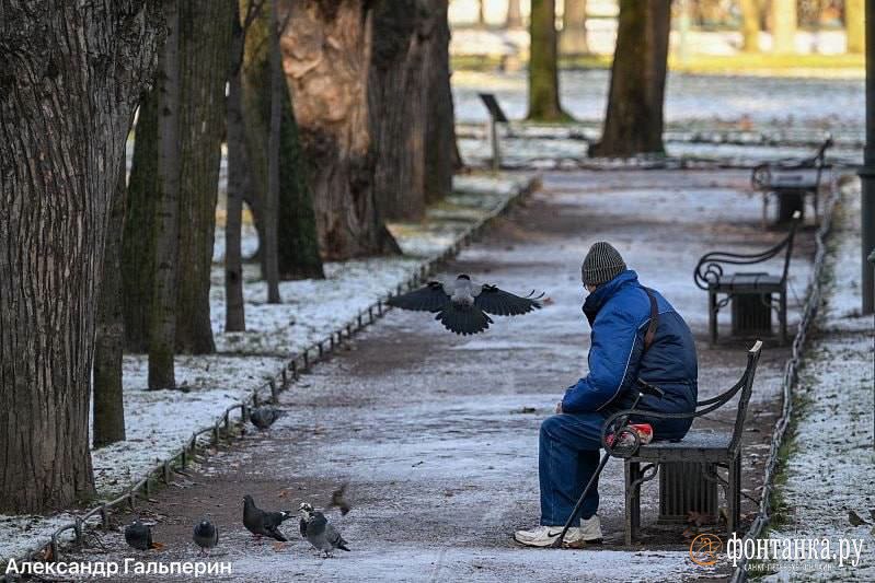 Погодные условия в Санкт-Петербурге на выходные