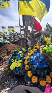 Иллюстрация 4