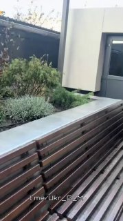 Иллюстрация 2