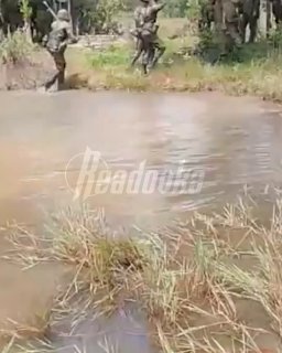 Иллюстрация 2