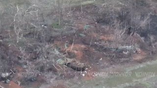 Уничтожение живой силы противника в Запорожской области