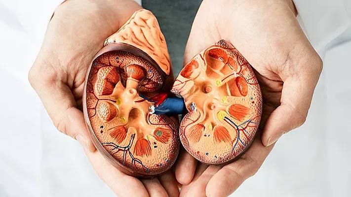 Осторожно, "застудило почки": причины, симптомы и что делать