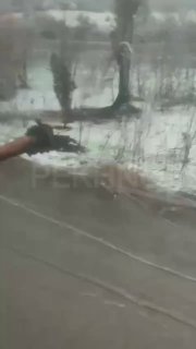 Иллюстрация 2