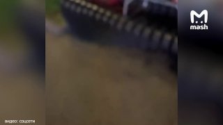 Юная бизнесвумен из Сочи зарабатывает на мечту о дайвинге