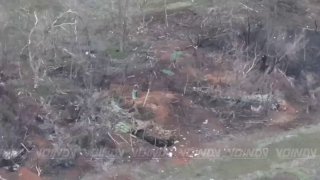 Уничтожение живой силы ВСУ на Гуляйпольском направлении