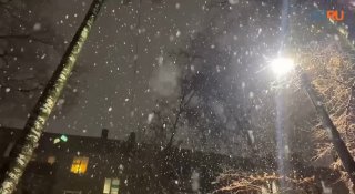 В Подмосковье начался снегопад