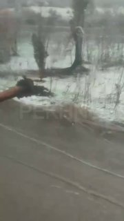 Иллюстрация 2