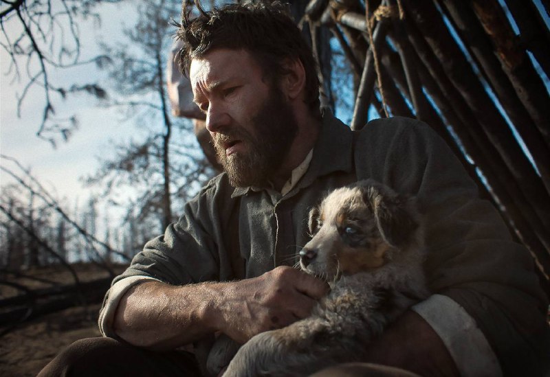 Рецензия на фильм "Train Dreams"