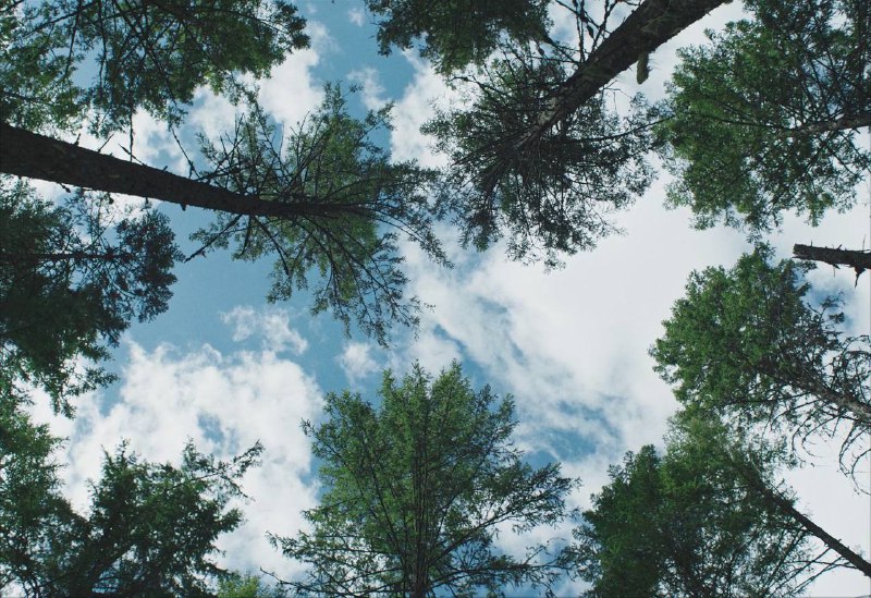 Иллюстрация 6