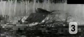 Иллюстрация 3