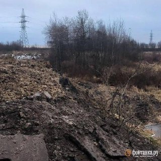 Иллюстрация 2