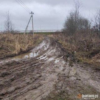 Иллюстрация 4