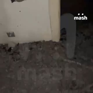 Иллюстрация 2