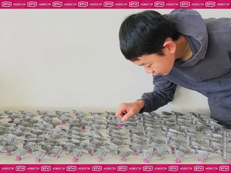 Американский школьник создал оригами, выдерживающее вес 4000 слонов