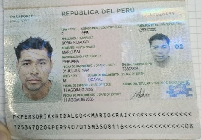 Иллюстрация 2