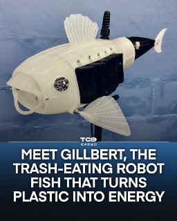 Роботизированная рыба "Гиллберт" очищает воду от микропластика