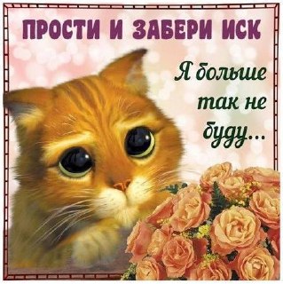 День юриста