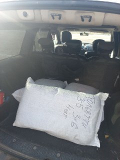 Иллюстрация 5