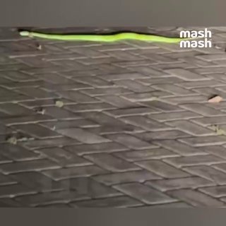 Иллюстрация 2