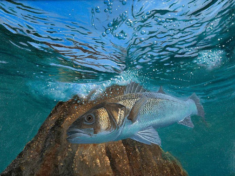 Иллюстрация 5