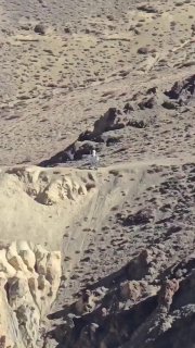 Китай использует роботов для охраны границы с Индией