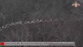 Иллюстрация 3