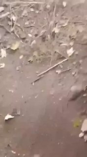 Предупреждение о безопасности на войне