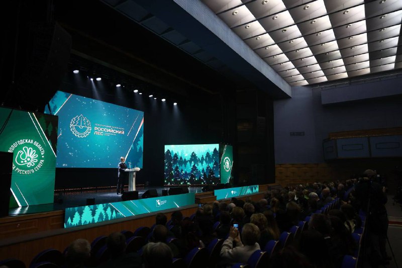 Иллюстрация 2