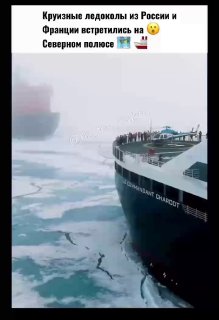 Российский и французский ледоколы встретились на Северном полюсе