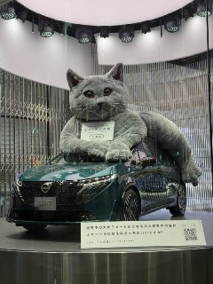 Иллюстрация 1