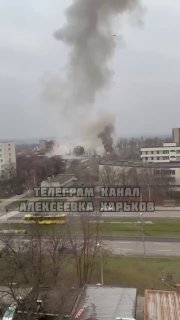 Иллюстрация 1