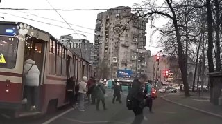 Лиса прокатилась в петербургском трамвае