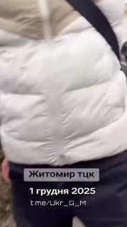 Иллюстрация 5