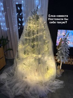 Иллюстрация 3