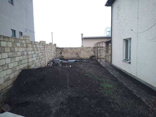 Иллюстрация 1