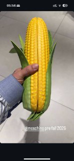 Иллюстрация 2