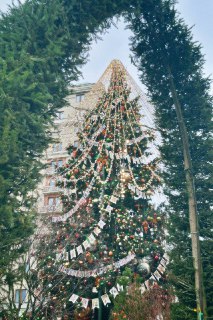 Иллюстрация 2