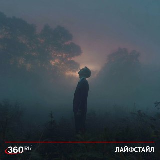 Как цифровой шум крадет нашу энергию