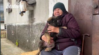 Жители Красногоровки помогают бездомным животным