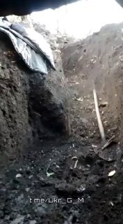 Иллюстрация 2