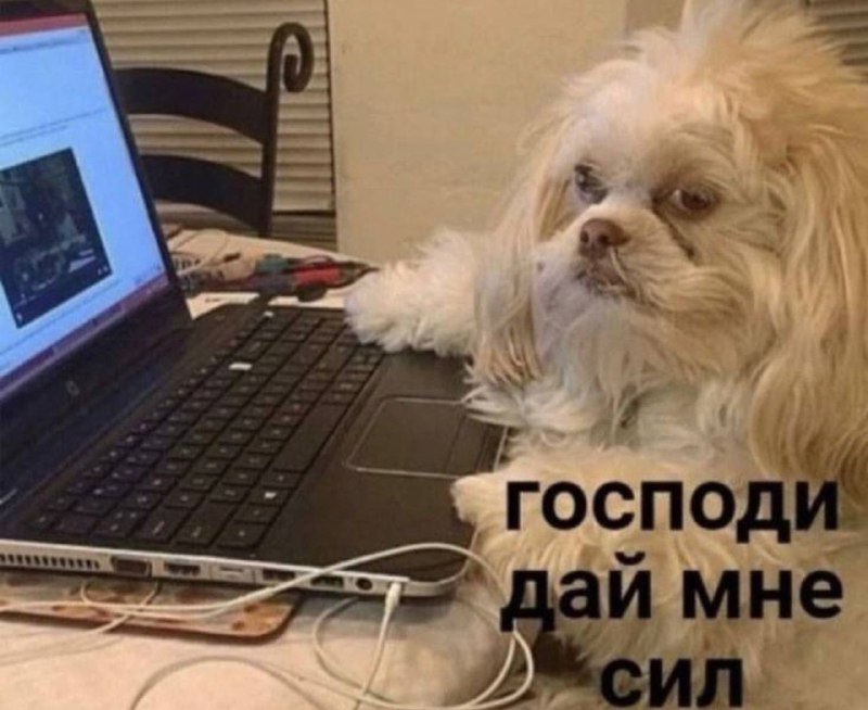 Чрезмерное употребление алкоголя в праздники снижает внимание на две недели