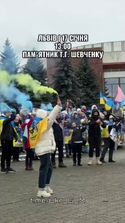 Митинги в Украине против власти