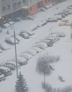 Иллюстрация 1