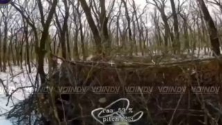 Уничтоженный украинский танк