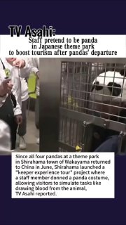 Японский зоопарк заменил панд сотрудниками в костюмах